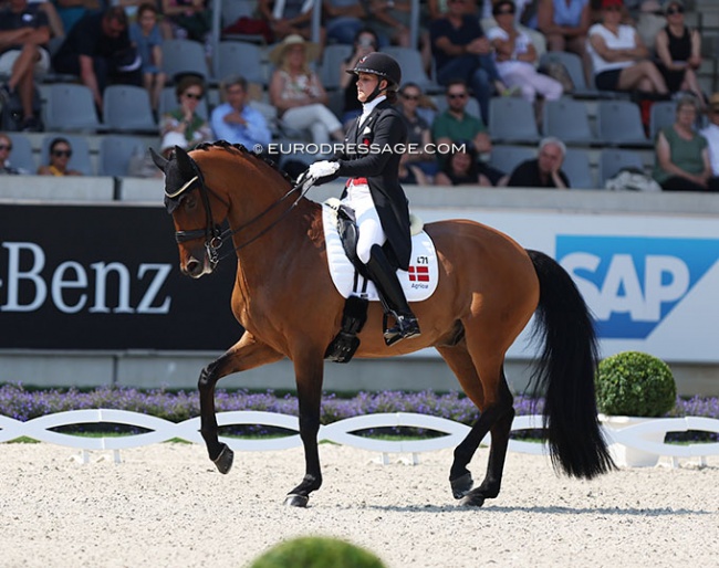 Cathrine Dufour and Vamos Amigos at the 2022 CDIO Aachen :: Photo © Astrid Appels
