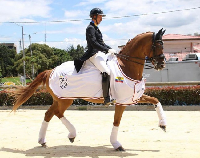 Julio Mendoza Loor and Jewel's Goldstrike at the 2022 Bolivarian Games :: Photo © Jonny Quintero