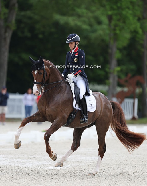 Charlotte Dujardin and Imhotep at their CDI debut in Compiegne :: Photo © Astrid Appels