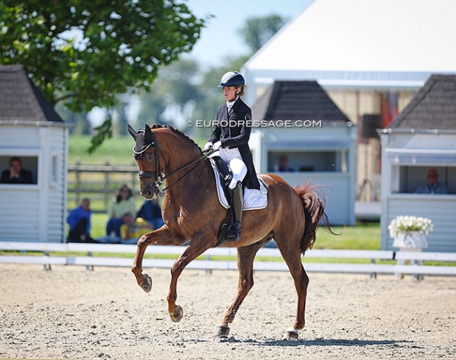Morgan Barbancon and Habana Libre A at the 2022 CDI Meerle :: Photo © Astrid Appels
