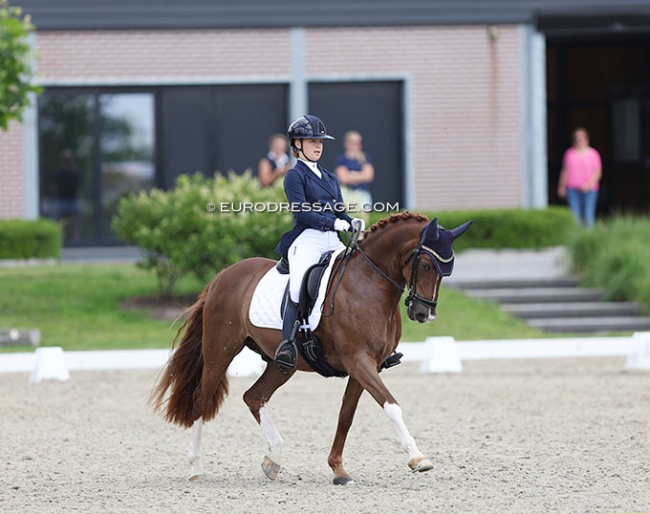 Maddy Dijkshoorn and Boogie de l'Aube at the 2022 CDI Meerle :: Photo © Astrid Appels