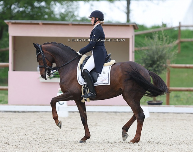 Emma Kanerva and Feldrose at the 2022 CDI Troisdorf :: Photo © Astrid Appels