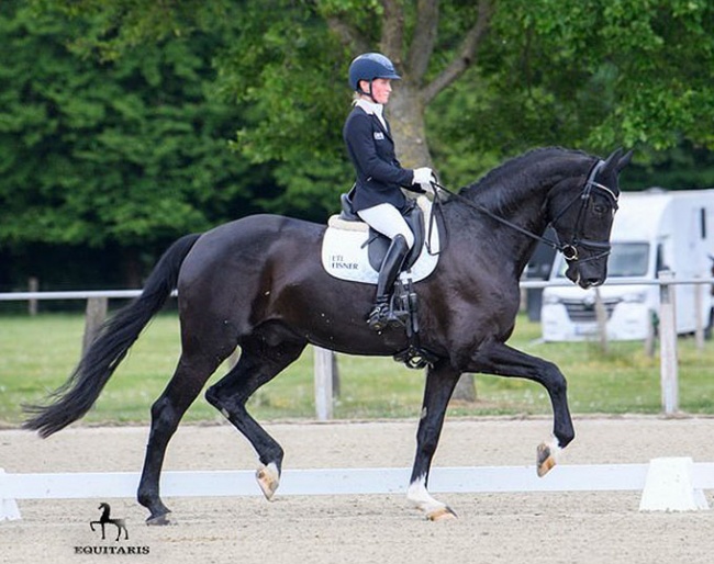 Helen Langehanenberg and Galleria's Summerville :: Photo © Equitaris.de/Wegener