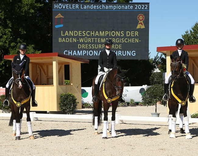 Selected (left) and Furst Fabuloso (right) are the Baden Wurttemberger regional young horse champions of 2022 :: Photo © Doris Matthaes