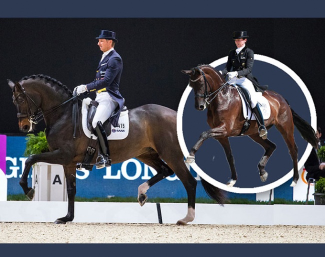 Embryo by Sandro Hit out of Olympic mare Deja (by Silvano x Don Schufro)