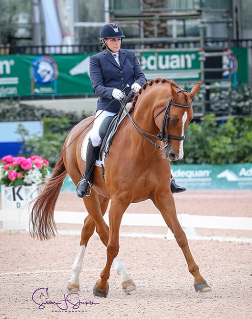 Lee Garrod and Question at the 2020 CPEDI Wellington :: Photo © Sue Stickle