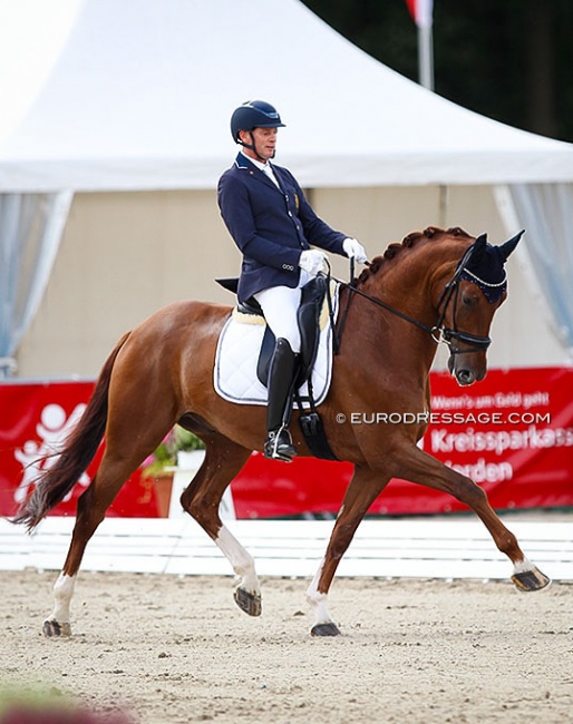 Tom Heylen and Quberon van het Beukenhof at the 2021 World Young Horse Championships :: Photo © Astrid Appels