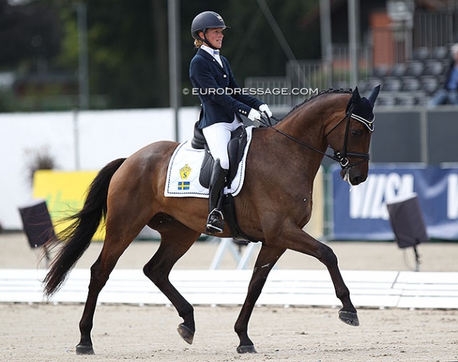 Anna Österberg on her home bred Swedish warmblood Maracanã (by Van Vivaldi x Calino) at the 2021 World Young Horse Championships :: Photo © Astrid Appels