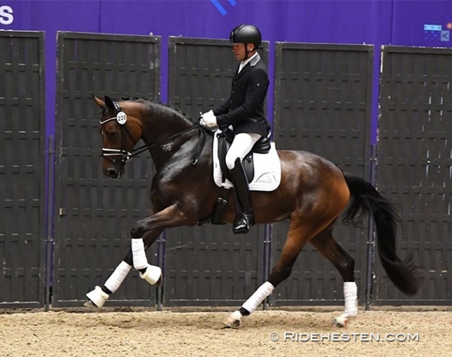 Dina Holmklit under af Jan Christensen at the 2022 Danish Warmblood Elite Mare Show in Herning :: Photo © Ridehesten