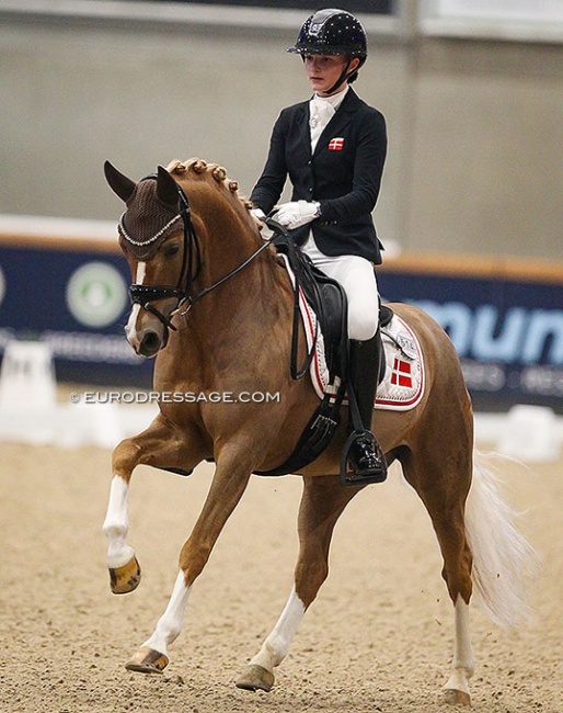 Josephine Gert Nielsen and Kastanienhof Crimson Gold at their CDI debut in Opglabbeek, Belgium in March 2022 :: Photo © Astrid Appels