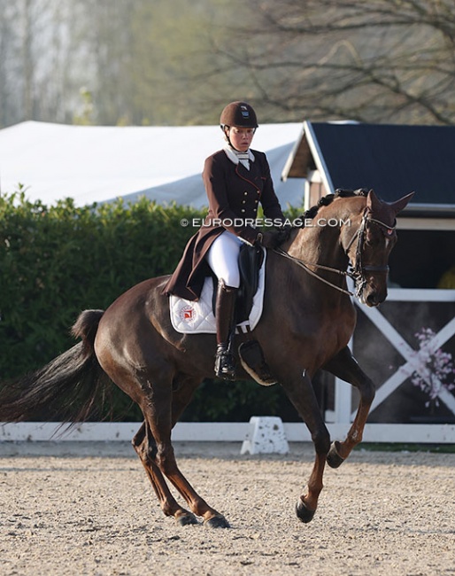 Mathilde Château on Escobar H at the 2022 CDI Sint-Truiden :: Photo © Astrid Appels