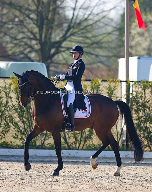 Karoline Rohmann on  Jakas Don Louvre at the 2022 CDI Sint-Truiden :: Photo © Astrid Appels