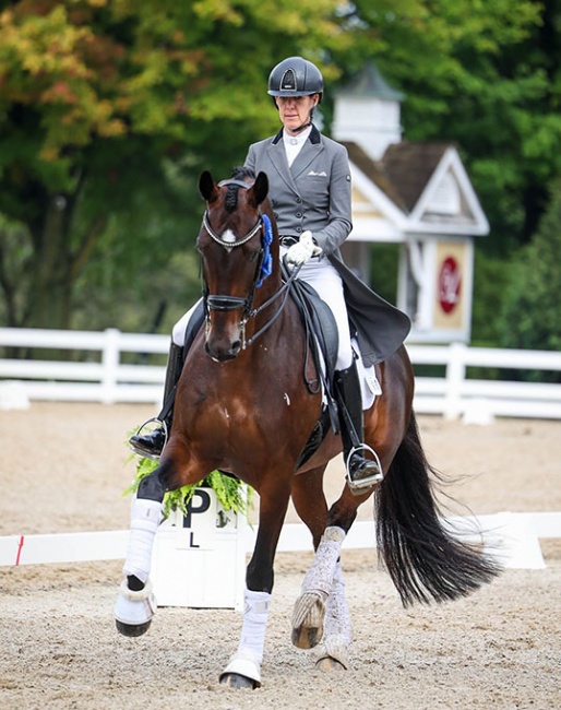 Olivia Lagoy-Weltz and Johnny Be Goode in the Developing PSG Horse Class at the 2022 U.S. Dressage Championships :: Photo © Sue Stickle
