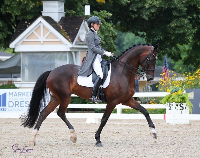 Olivia Lagoy-Weltz and Johnny Be Goode in the Developing PSG Horse Class at the 2022 U.S. Dressage Championships :: Photo © Sue Stickle