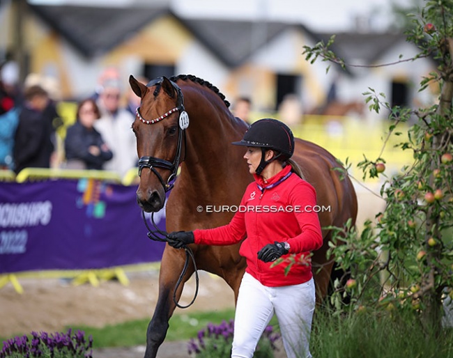 Catherine Dufour and Vamos Amigos at the horse inspection for the 2022 World Championships Dressage in Herning :: Photo © Astrid Appels
