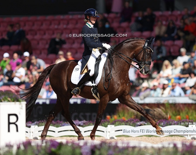 Simone Pearce and Fiderdance at the 2022 World Championships Dressage :: Photo © Astrid Appels