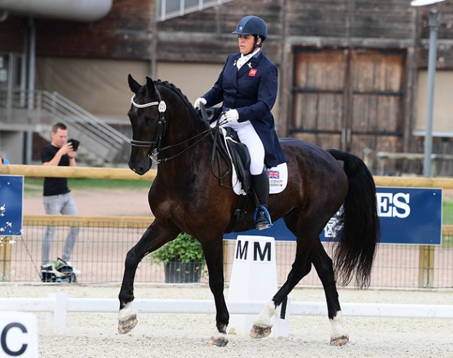 Mr Benn at the 2022 CDI Deauville :: Photo © Pixelevents
