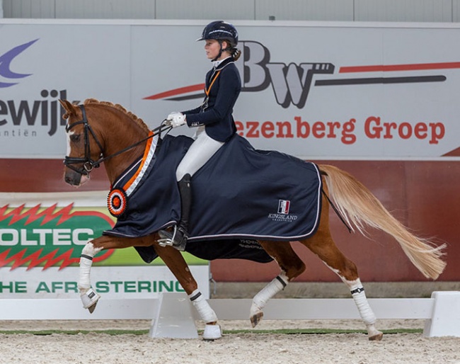 Sophie van Iwaarden and Mochyndaear Dragonfly in Amber win the 4-year old division at the 2022 Dutch Young Pony Championships :: Photo © Dutch Young Pony Championship