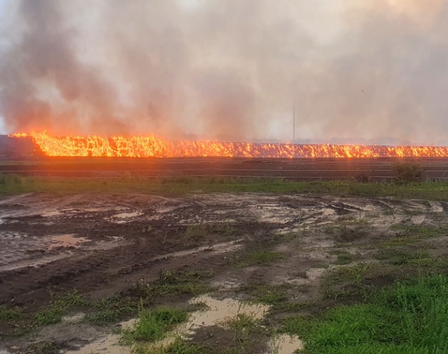 a 500 meter row of 20,000 straw bales caught fire on 8 September 2022