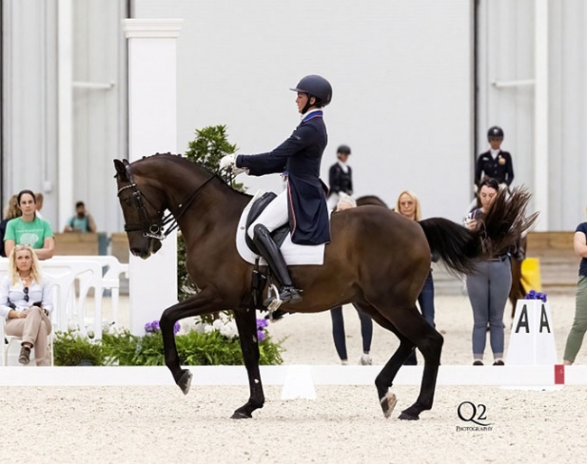 Anna Marek and Fire Fly at the 2022 CDI Ocala :: Photo © Q2 Photography