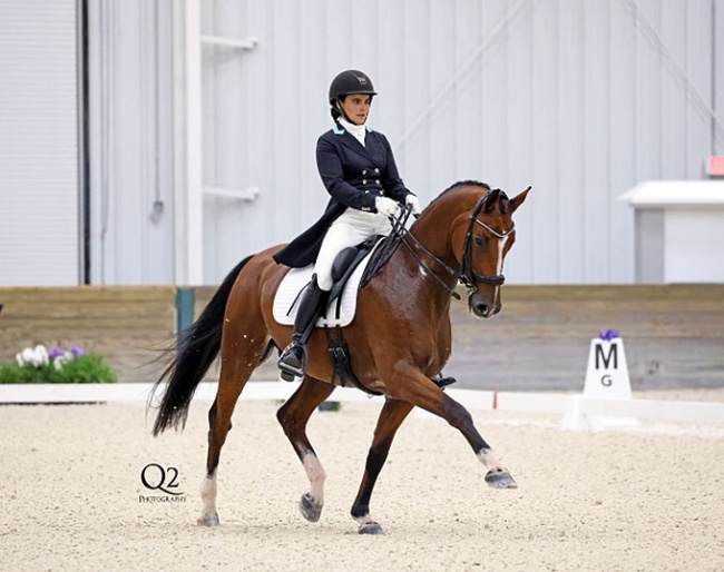 Amanda Owen on Franklin at the 2022 CDI Ocala :: Photo © Q2 Photography