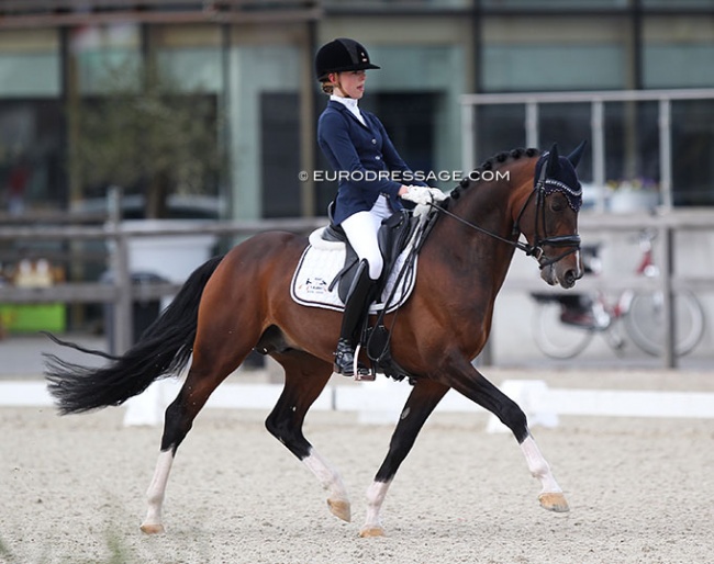 Esmee Boers and Beauty W at the 2022 CDI Opglabbeek :: Photo © Astrid Appels