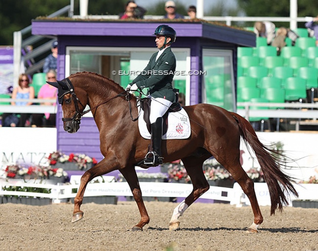 Rodolpho Riskalla and Don Henrico at the 2022 World Para Dressage Championships :: Photo © Astrid Appels