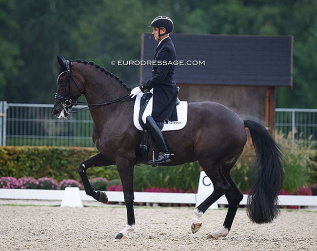 Andreas Helgstrand on Queenparks Wendy at the 2022 CDI Ermelo :: Photo © Astrid Appels