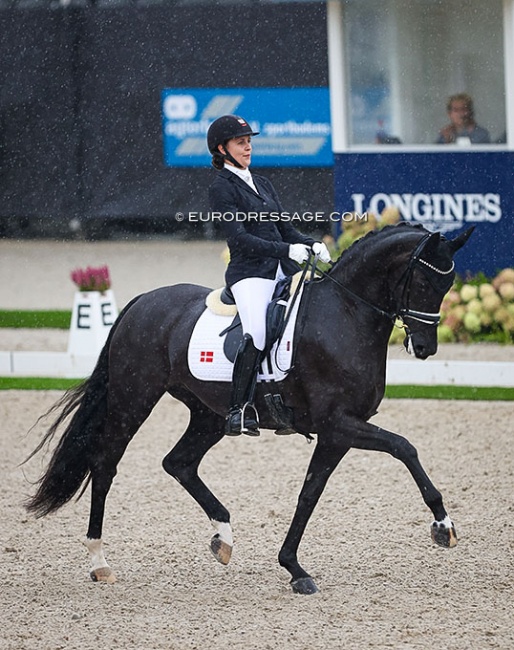 Victoria Vallentin and Lyngbjergs St. Paris at the 2022 World Young Horse Championships :: Photo © Astrid Appels