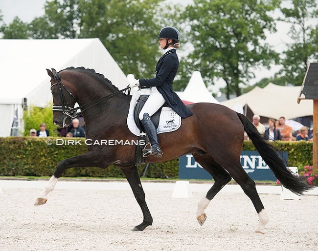 Dinja van Liere and Zhivago at the 2016 CDI Ermelo during the World Young Horse Championships :: Photo © Dirk Caremans