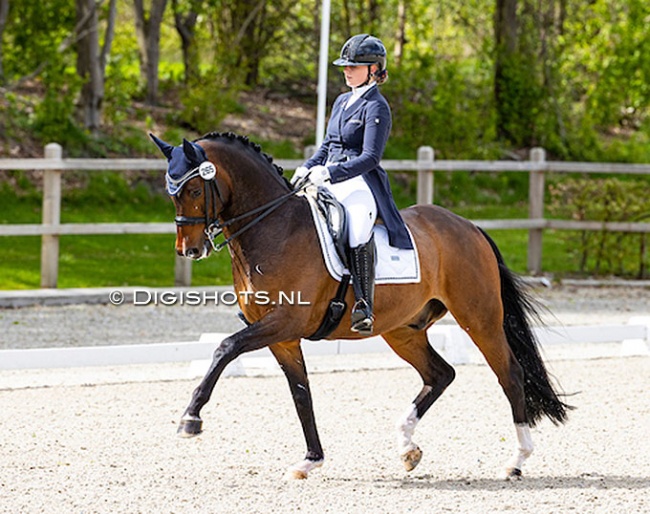 Fleur Prinsen and Fame at the 2021 CDI Exloo :: Photo © Digishots