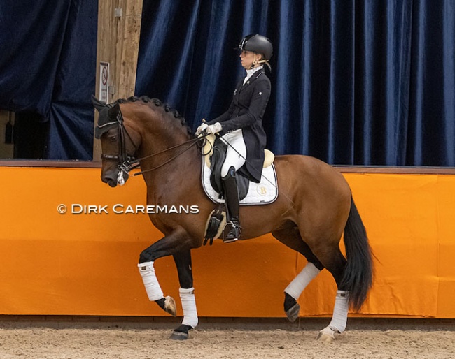Kirsten Brouwer and Ghandi at the stallion presentation of the 2021 KWPN Stallion Licensing :: Photo © Dirk Caremans