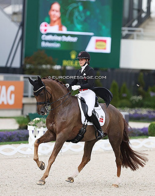 Cathrine Dufour and Bohemian at the 2022 CDIO Aachen :: Photo © Astrid Appels