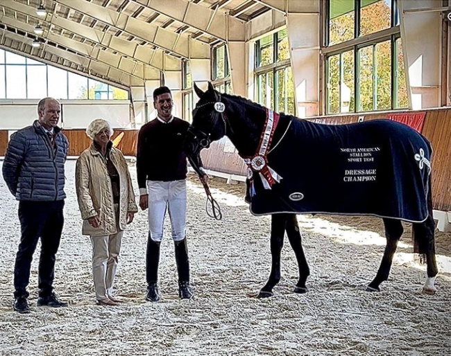 Galaxy Coeur was the high scoring stallion in the 2022 North American Stallion Sport Test