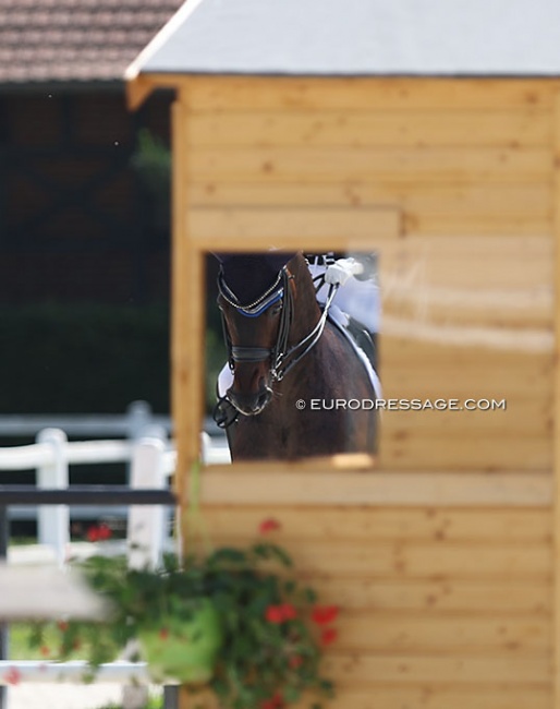 Photo © Astrid Appels