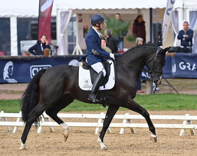 Alfonso de la Chica Parras on Esperanzo de Malleret PS at the 2022 French Young Horse Championships :: Photo © Les Garennes