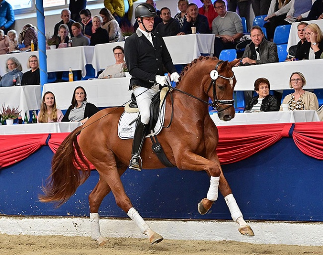 Frontman OLD, best seller of the 2022 Oldenburg Autumn Elite Auction :: Photo © OLD Art