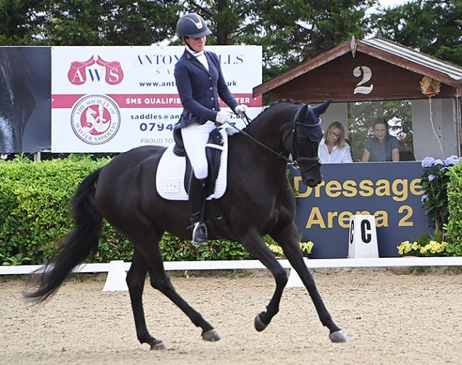 Furstenline CJS (by Blue Hors Farrell x His Highness)