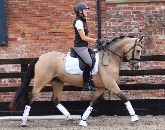 Klein Roderijs Gold Fee