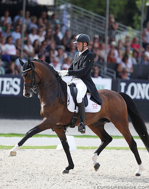 Hesselhoj Donkey Boy at the 2019 World Young Horse Championships :: Photo © Astrid Appels