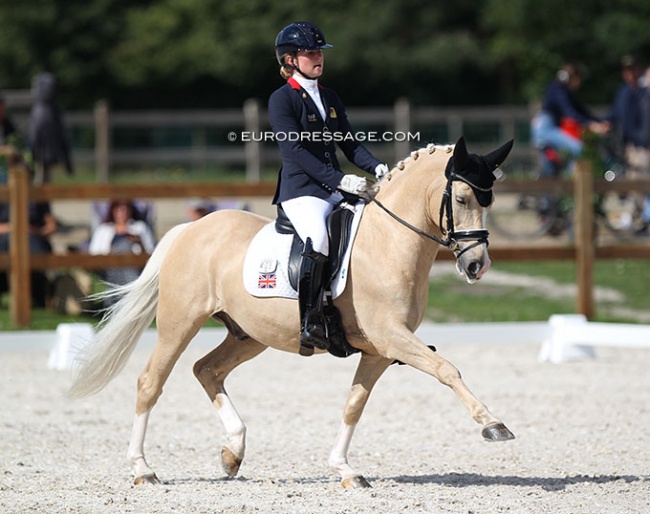 Annabella Pidgley and Cognac IX at the 2020 CDI Grote Brogel :: Photo © Astrid Appels