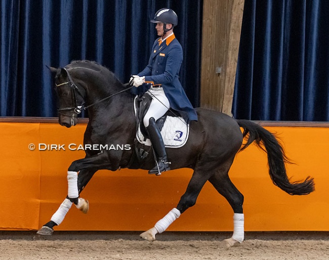 Diederik van Silfhout and Impression in the stallion show at the 2021 KWPN Stallion Licensing :: Photo © Dirk Caremans