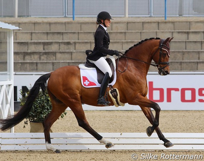 Nicole Geiger on Amigo at the 2021 CPEDI Mannheim :: Photo © Silke Rottermann