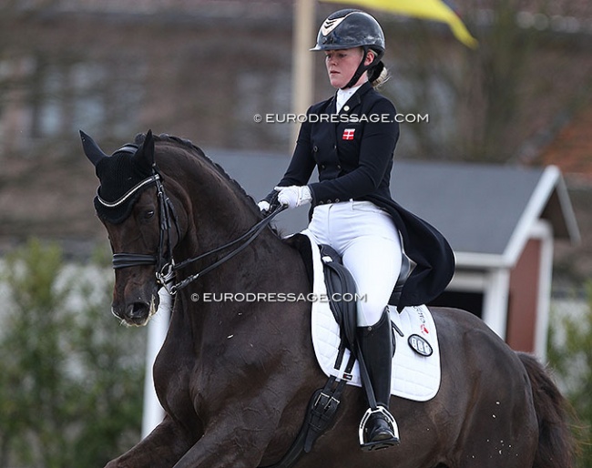 Josefine Hoffmann and Honnerups Driver at the 2021 CDI Sint-Truiden in Belgium :: Photo © Astrid Appels