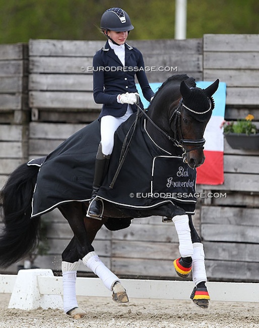 Georgina Kraft and TI Daily Challenge at the 2021 CDI Sint-Truiden :: Photo © Astrid Appels