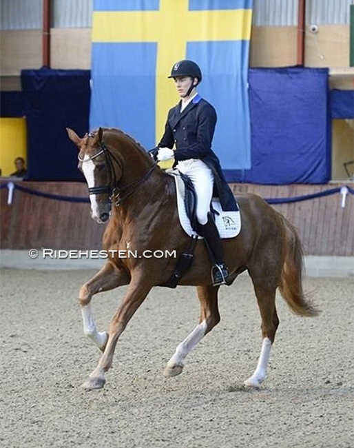Kristian Würtz Green on Blue Hors Zepter :: Photo © Ridehesten