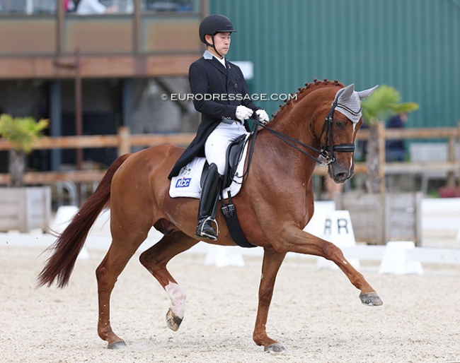 Young-Shik Hwang and Bluebarry Dream at the 2022 CDI Grote Brogel :: Photo © Astrid Appels