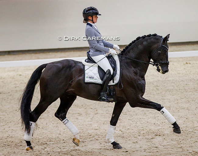 Renate van Uytert on Ladignac at the 2022 KWPN Stallion licensing show :: Photo © Dirk Caremans