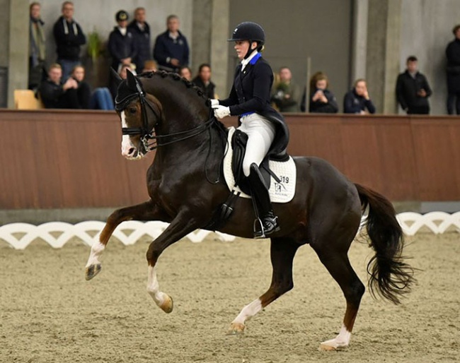 Nanna Merrald Rasmussen and Blue Hors Don Olymbrio L at the 2022 CDI Randbøl :: Photo © Blue Hors