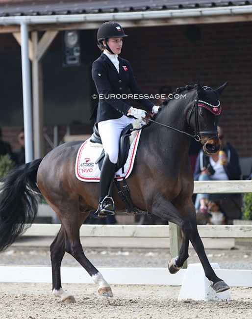 Cornelia Munch Sinding on  Terbofens Charico at the 2022 CDI Sint-Truiden :: Photo © Astrid Appels